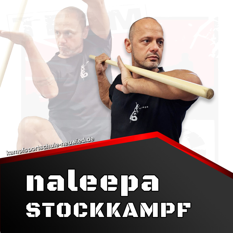 Starseite - Kurs - naleepa Stock-Kampfkunst